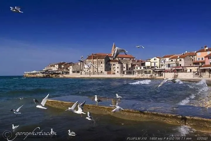 Apartment Ante Umag
